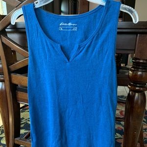 Blue sleeveless top